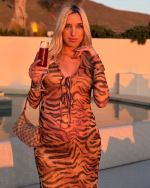 Eye of the tiger dress - Image 3